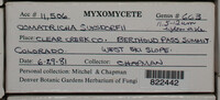 Image Associated With the Occurence